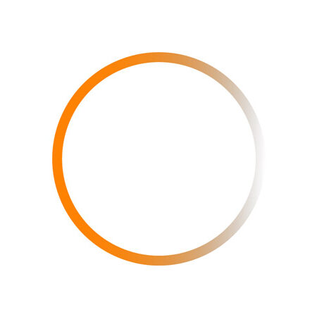 Example of a circular frame to frame names and titles in the color Tennessee Orange.